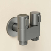 شیر پیسوار انشعاب دوگانه