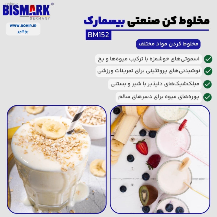 مخلوط کن حرفهای مواد غذایی بیسمارک
